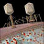 CoreSub_Bio_SynImg_18Microbes_Pic_1