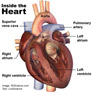 Coresub_FullstryImg_Bio_17_heart