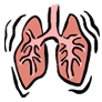 Coresub_FullstryImg_Bio_25_lungs