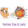 Coresub_FullstryImg_bio_34_human_eye_&_lens