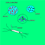 Coresub_FullstryImg_bio_35_micro_organisms
