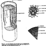 Coresub_FullstryImg_bio_40_structure_of_higher_plants