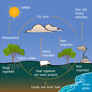 Coresub_FullstryImg_chem_14_carbon_cycle