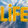 Optsub_FullstryImg_General_38_life