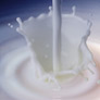 milk_drop_4641b1118bc14